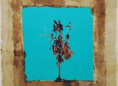 murat-ozbakir-50x50-tual-uzerine-karisik-teknik